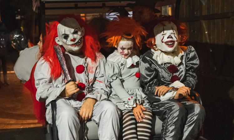 Halloween - OCTOBRE au NOVEMBRE 2025 Parc de Vacances Magic Robin Hood Alfas del Pi Halloween - OCTOBRE au NOVEMBRE 2025 Parc de Vacances Magic Robin Hood Alfas del Pi